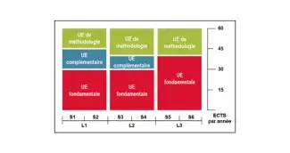 Schéma présentant la structure des UE et des ECTS (système Européen de transfert d'unités de cours capitalisables - European Credit Transfer System - ECTS) par année de licence (parcours simples)