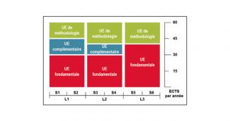 Schéma présentant la structure des UE et des ECTS (système Européen de transfert d'unités de cours capitalisables - European Credit Transfer System - ECTS) par année de licence (parcours simples)